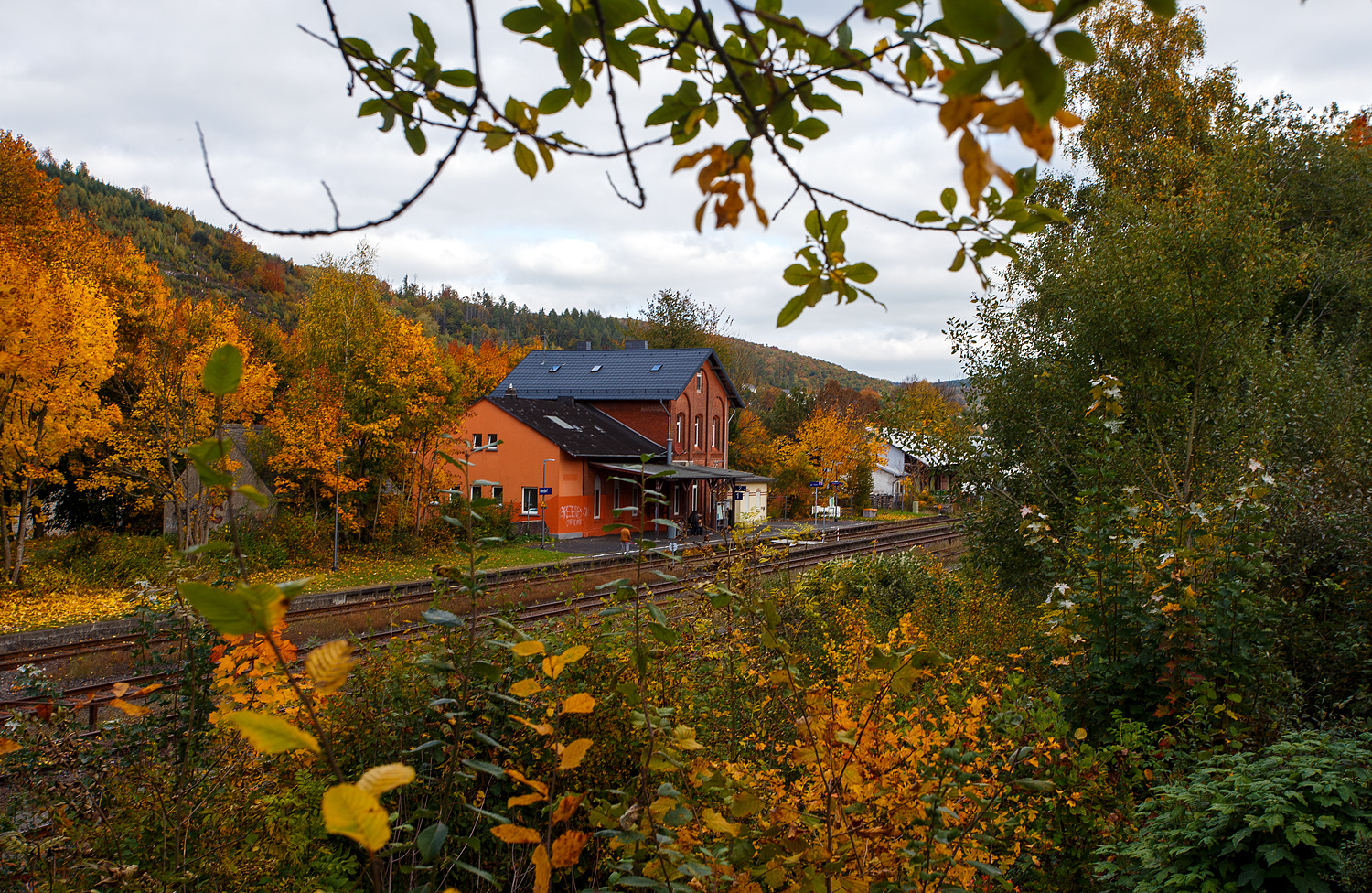 Es ist Herbst, auch beim Bahnhof Herdorf, hier am 14 Oktober 2025 ein Blick über die Gleise hinweg. Rechts der ehemalige Güterschuppen.

Der Bahnhof Herdorf liegt an km 90,1 der „Hellertalbahn“ KBS 462.

Übrigens hier recht im Bild war früher mal die Verladebrücke der schmalspur Grubenbahn ins Sottersbachtal (im Herdorfer Volksmund  Bähnchens  genannt). Diese fuhr bis zum 4.12.1962, heute ist nicht mehr davon zusehen.