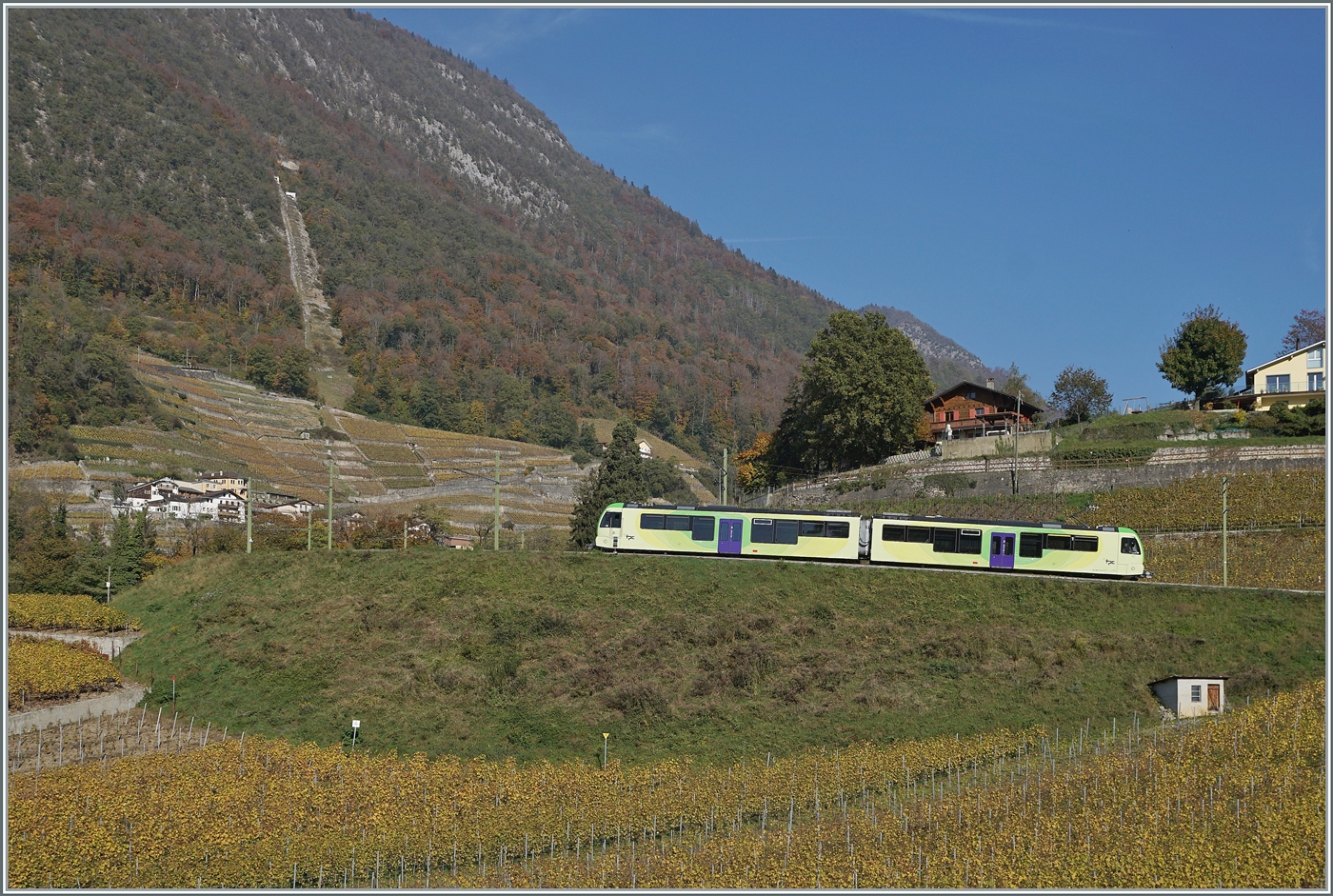 Innmitten herbstlicher Rebstöcke setzt der TPC ASD ABe 4/8 472 ist oberhalb von Aigle als R71 seine der Fahrt nach Les Diablerets fort. 

2. November 2024