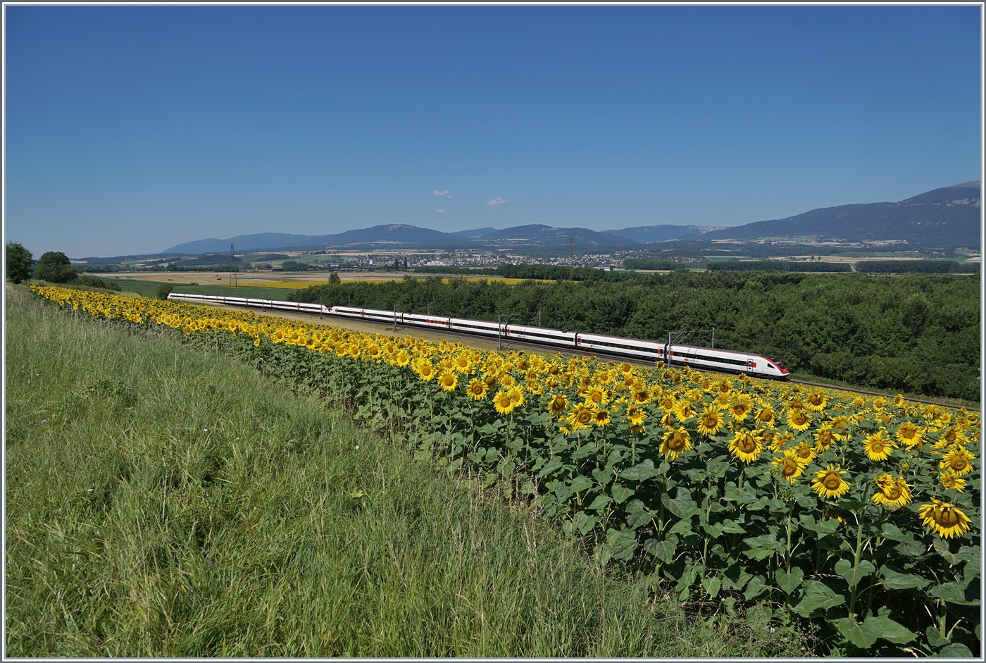 Zwei SBB ICN RABDe 500 sind zwischen Essert-Pittet und Ependes VD als IC5 519 auf dem Weg von Lausanne nach Rorschach. 
Die Strecke Lausanne -Yverdon wurde am 7. Mai 1855 von Bussigny nach Yverdon eröffnet und zwei Jahres später konnte der Betrieb bis Lausanne aufgenommen werden. Am 1. November 1921 wurde der Abschnitt Chavornay - Ependes und am 14. Mai 1933 der Abschnitt Ependes - Yverdon der seit dem 1. Februar 1925 elektrisch betriebenen Strecke doppelspurig ausgebaut.
Wobei anzumerken ist, dass der Doppelspurausbau der Strecke Lausanne - Biel/Bienne etappenweise schon 1872 begann und heute mit dem letzten Abschnitt Ligerz - Twann kurz vor der Vollendung steht.  

12. Juli 2025