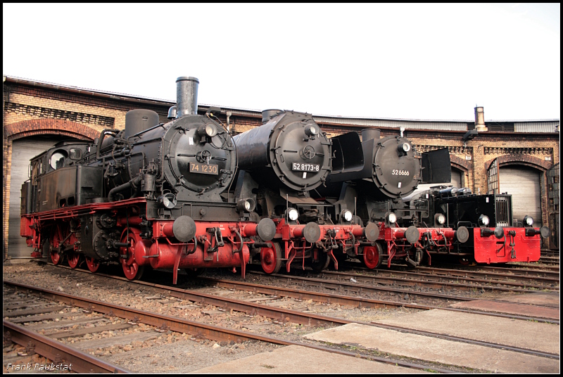 74 1230, 52 8173 und 52 6666 stehen zur Parade vor dem Lokschuppen (Bw Sch�neweide 04.10.2009)