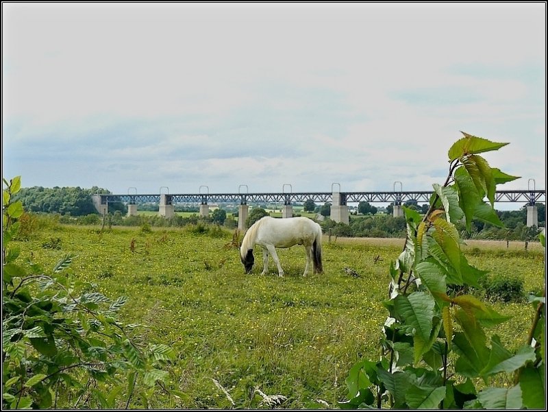 Br�ckenimpressionen in Moresnet. 12.07.08 (Hans)