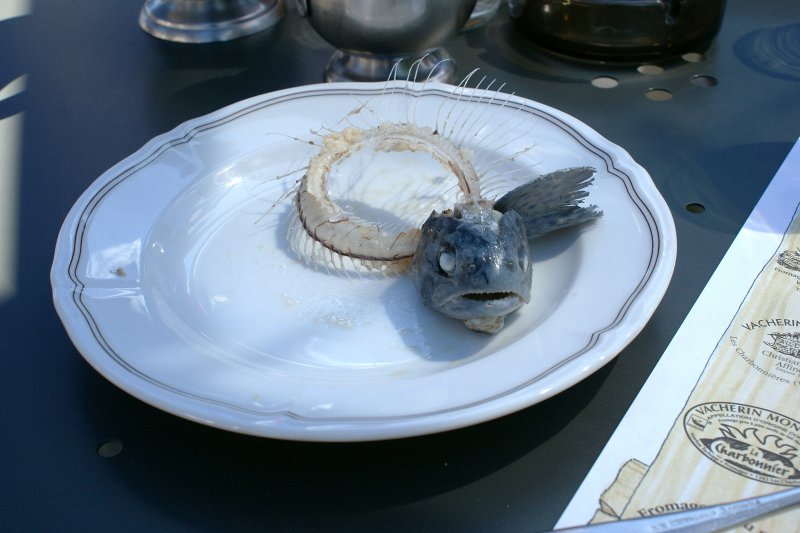 Die Forelle hatte ein k�stliches Leben, so gut wie sie schmeckte.
(05.08.2009)