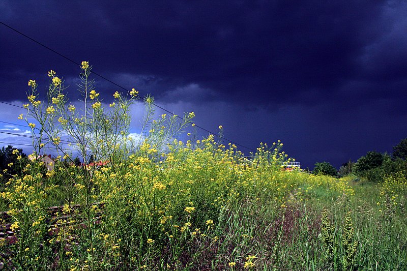 Einfach einmal um zu zeigen wie die Wetterverh�ltnisse sind. Die Farben sind per Wei�abgleich leicht verf�lscht um die Unterschiede zu zeigen (Berlin Bornholmer Str, 03.06.2009).