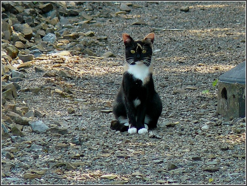 Gef�hrlicher Spielplatz. 06.08.09 (Hans)