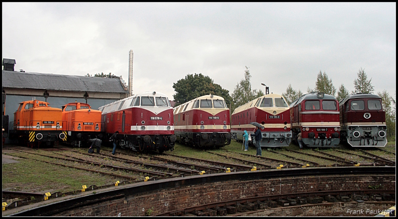 Klein- und Gro�diesel eintr�chtig nebeneinander vor der Drehscheibe. Von links nach rechts 106 100, 106 601, 118 578, 118 788, 119 199, 120 198 und 131 072 (Eisenbahnfest des TEV zum Weimarer Zwiebelmarkt, Weimar 10.10.2009)