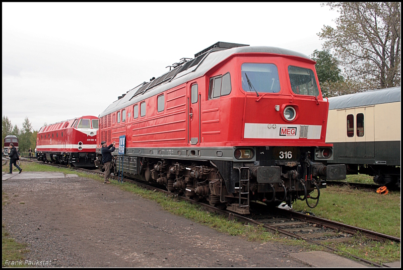 MEG 316 zu Gast auf dem Eisenbahnfest im Bw Weimar (NVR-Nummer 92 80 1232 010-9 D-MEG, ex DR 232 010; Leihgabe an TEV, Eisenbahnfest des TEV zum Weimarer Zwiebelmarkt, Weimar 10.10.2009)