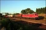 DB 232 384-8 (ex 132 384-9, Doppeltraktionsf�hig, Railion DB Logistics) und einem gem.