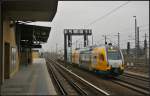 ODEG ET 445.104 mit dem RE4 Rathenow am 09.03.2013 H�he Berlin Beusselstra�e