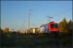 An LOCON ist die Re 482 039 der SBB Cargo ausgeliehen und kommt am 24.10.2013 zu sp�ter Stunde durch die Berliner Wuhlheide