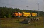 EKO 63 / 293 063-4 kam mit zwei unbekannten Wagen f�r den Gleisbaueinsatz am 16.09.2014 durch die Berliner Wuhlheide (NVR-Nummer 98 80 3293 063-4 D-EKO)