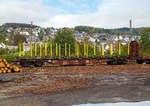   4-achsiger Drehgestell-Containertragwagen 31 80 4543 024-2 D-DB der Gattung Sgns 681 der DB Cargo AG abgestellt am 30.09.2020 in Scheuerfeld (Sieg).