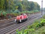 DB Schenker Diesellok 294 853-7 Abzweig Lotharstrasse, Forsthausweg, Duisburg 20-10-2016.