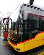 (273'384) - AutoPostale Ticino - (620'648) - eMercedes am 29.