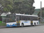(191'768) - NCS Wellington - Nr. 341/YK8403 - MAN/Designline (ex Red Bus, Christchurch Nr. 341) am 27. April 2018 in Wellington