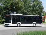 (264'592) - Reise & Touristik Service, Merseburg - MER-RT 8 - MAN am 10.