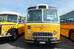 (286'622) - Goldexpress, Ossingen - ZH 14'148 - FBW/Lauber (ex P 24'069; ex P 21'569) am 2.