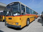 (266'343) - Ryser, Auswil - BE 6061 U - Saurer/Hess (ex Flury, Balm) am 31. August 2024 in Oberkirch, CAMPUS Sursee