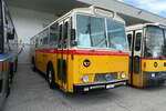 (279'676) - Zimmermann, Niederwangen -  P 24'632  - Saurer/Tscher (ex P 24'632) am 30.