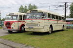 Kraftomnibus 233 und Ikarus 66 waren vor dem Depot 12 in Rostock-Marienehe abgestellt.30.05.2026