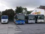 iveco-irisbus/826821/iveco-daily-mit-ts-aufbau-und-iveco Iveco Daily mit TS-Aufbau und Iveco Crossway und MAN Lion's Classic der MVVG in Woldegk.