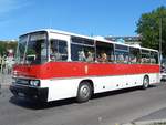 ikarus-200er-serie/601398/ikarus-25059-vom-oldtimer-bus-verein Ikarus 250.59 vom Oldtimer Bus Verein Berlin e.V. aus Deutschland in Berlin.
