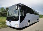 JM Reisen aus Stuttgart ~ S-JM 445 ~ ex. Ostertag, Nattheim (HDH-N 162) ~ MAN Lions Coach ~ 03.08.2014 in Stuttgart