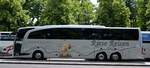 Mercedes-Benz Travego von Reise Riese Rainer Riese aus Groß Köris, Brandenburg bei der Bus Demo in Berlin am 17.06.2020.