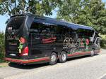 Neoplan Starliner von Dolce Vita Reiseclub aus Deutschland in Malchow.
