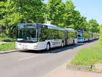 Am 29. April 2018 steht am U Bahnhof Berlin Rudow der MAN Lion's City OHV-VK53 der OVG aus Oranienburg für Shuttle Fahrten zur ILA 2018 bereit.

MAN Niederflurbus 3. Generation (Lion's City) 