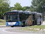 MAN Lion's City der Rostocker Stra�enbahn AG in Rostock.