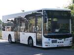 MAN Lion's City/Caetano der VVR in Sassnitz. 