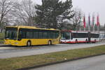 Mercedes-Benz O 530 I(Citaro)stand am 21.02.2025 in Hhe Rostock Hbf.