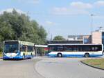 Mercedes Citaro I und Mercedes Citaro II der Rostocker Straßenbahn AG in Rostock.