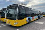 Stuttgarter Stra�enbahnen (SSB) | Nr. 7221 | S-SB 7221 | Mercedes-Benz Citaro 2 G | 19.06.2024 in Stuttgart