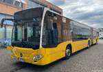 Stuttgarter Stra�enbahnen (SSB) | Nr. 7316 | S-SB 7316 | Mercedes-Benz Citaro 2 G | 19.06.2024 in Stuttgart