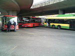 Slowakischer Bus am Busbahnhof in Bratislava