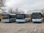 iveco-irisbus-crossway/746722/irisbus-crossway-und-man-lions-classic Irisbus Crossway und MAN Lion's Classic und MAN SÜ 283 der MVVG in Neubrandenburg.
