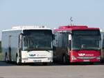 Irisbus Crossway und Iveco Crossway der Verkehrsgesellschaft Ludwigslust-Parchim mbH in Plau am See.