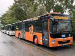Iveco Crossway LE und MAN Lion's City LE � der MVVG in Malchow.