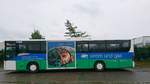 setra-400er-serie/585107/von-becker-strelitz-reisen-in-neubrandenburg ....von Becker Strelitz Reisen in Neubrandenburg wo er für den Schülerverkehr rund um Neubrandenburg eingesetzt wird  