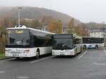 Setra 418 LE Business und MAN Lion's City der VVR in Sassnitz.