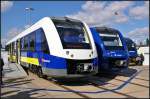 Zweimal Coradia LINT 54: Links erixx 622 208-6 f�r den Betrieb auf einigen Regio-Linien in Niedersachsen (NVR-Nummer 95 80 0622 208-6 D-LNVG), daneben schaut vlexx 622 414 in die Sonne.