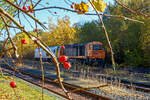 Herbstzeit im Hellertal.....und Hagebutten im Vordergrund....