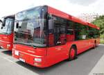 Regionalbus Ostbayern (RBO) | Ostbayernbus | R-JN 429 | MAN NÜ 313 | 22.07.2012 in Hof