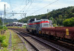 Die dieselhydraulische Vossloh G 12 – 4120 001-7 „Karl August“ (92 80 4120 001-7 D-KAF) der KAF Falkenhahn Bau AG (Kreuztal) fährt am 11 September 2024 mit Zug, bestehend aus