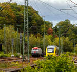 Die 216 121-4 „PHOENIX“ (92 80 1216 121-4 D-FSI) der FSI Logistik GmbH, eine On Rail DH 1504 (umgebaute V 160) ist am 17.09.2022, mit einem Schotterzug (Niederbordwagen der Gattung Eamos), in Betzdorf/Sieg abgestellt.

Die Spenderlok (V 160) wurde 1967 von Deutz (KHD, Kln-Deutz) unter der Fabriknummer 58143 gebaut und an die Deutsche Bundesbahn als V 160 121 geliefert, zum 01.01.1968 erfolgte die Umzeichnung in DB 216 121-4 und im Dezember 1998 erfolgte die Ausmusterung bei der DB und sie ging 2000 an die On Rail Gesellschaft fr Eisenbahnausrstung und Zubehr mbH in Mettmann, welche bei der bei VSFT in Kiel zur heutigen DH 1504/6 umbauen lie. Im Juni 2003 ging die umgebaute Lok dann an die OHE - Osthannoversche Eisenbahnen AG in Celle, wo sie die Betreiberbezeichnung 200095 bekam. Im Jahr 2005 erhielt sie dann die Betreiberbezeichnung OHE 200085 und 2007 die NVR-Nummer 92 80 1216 121-4 D-OHE. Im Jahr 2012 ging sie an die OHE Cargo kam sie 2012 und bekam die NVR-Nummer 92 80 1216 121-4 D-OHEGO. Im August 2022 ging sie an die FSI Logistik GmbH in Bottrop.
