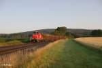 363 814-5 mit Holzzug frs ATW Wiesau bei Oberteich.