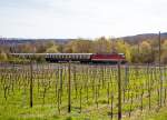   Die 1142 704-6 (A-CBB 91 81 1142 704-6) der Centralbahn AG zieht am 12.04.2015 einen Sonderzug ber die Rechte Rheinstrecke (KBS 465), hier bei Leutesdorf, in Richtung Norden.