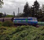 Die neue NIAG Lok 14 (145 086-5) mit leerem Kohle-Ganzzug fährt am 11.08.2011, auf der rechten Rheinstrecke, bei Unkel in Richtung Norden.