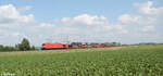 185 316-7 zieht bei Uffenheim ein Autotransportzug in Richtung Norden.